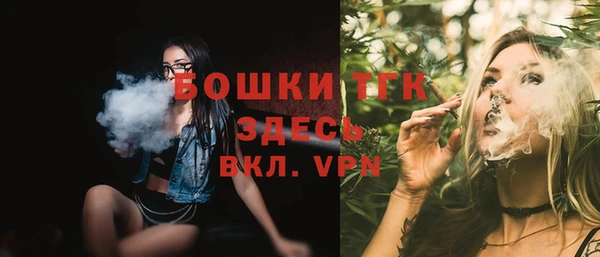 гидра Армянск