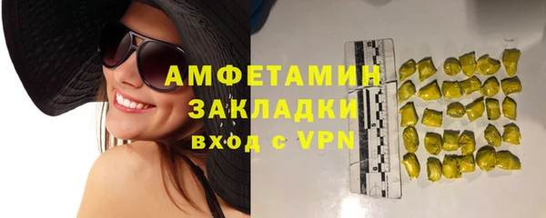 гидра Арсеньев
