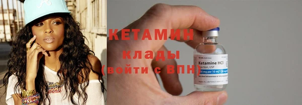 шишки Аркадак