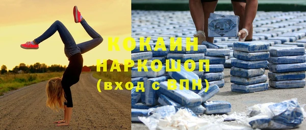 шишки Аркадак