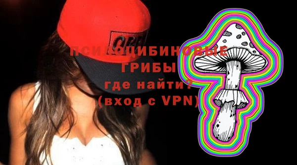 гидра Армянск