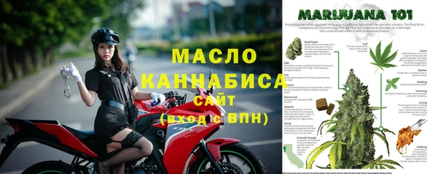 гидра Арсеньев