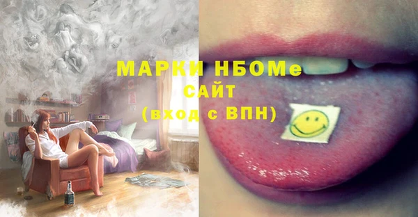 шишки Аркадак